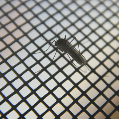 Rede Mosquiteira Magnética Anti-Insetos